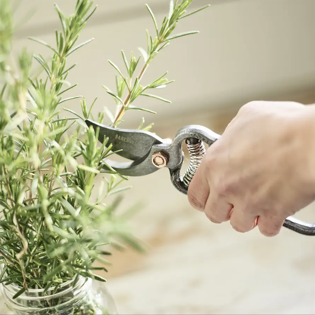 Pruner