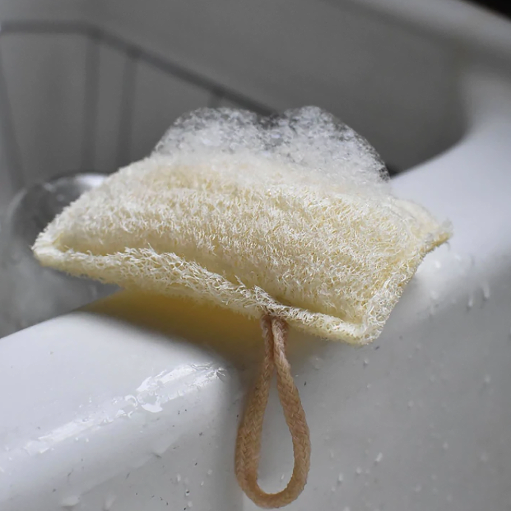 Kitchen Sponge / Loofah (3 Pack)