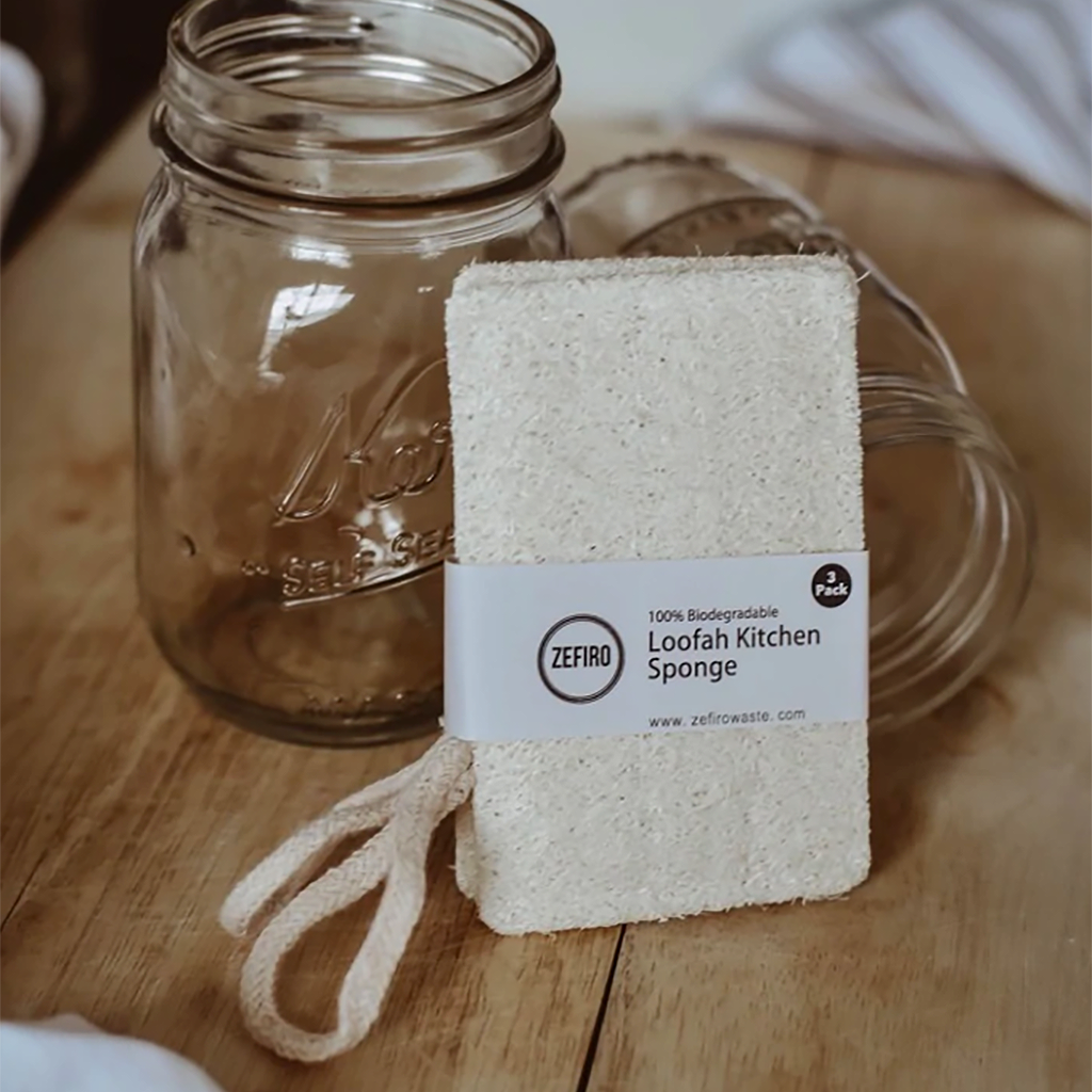 Kitchen Sponge / Loofah (3 Pack)