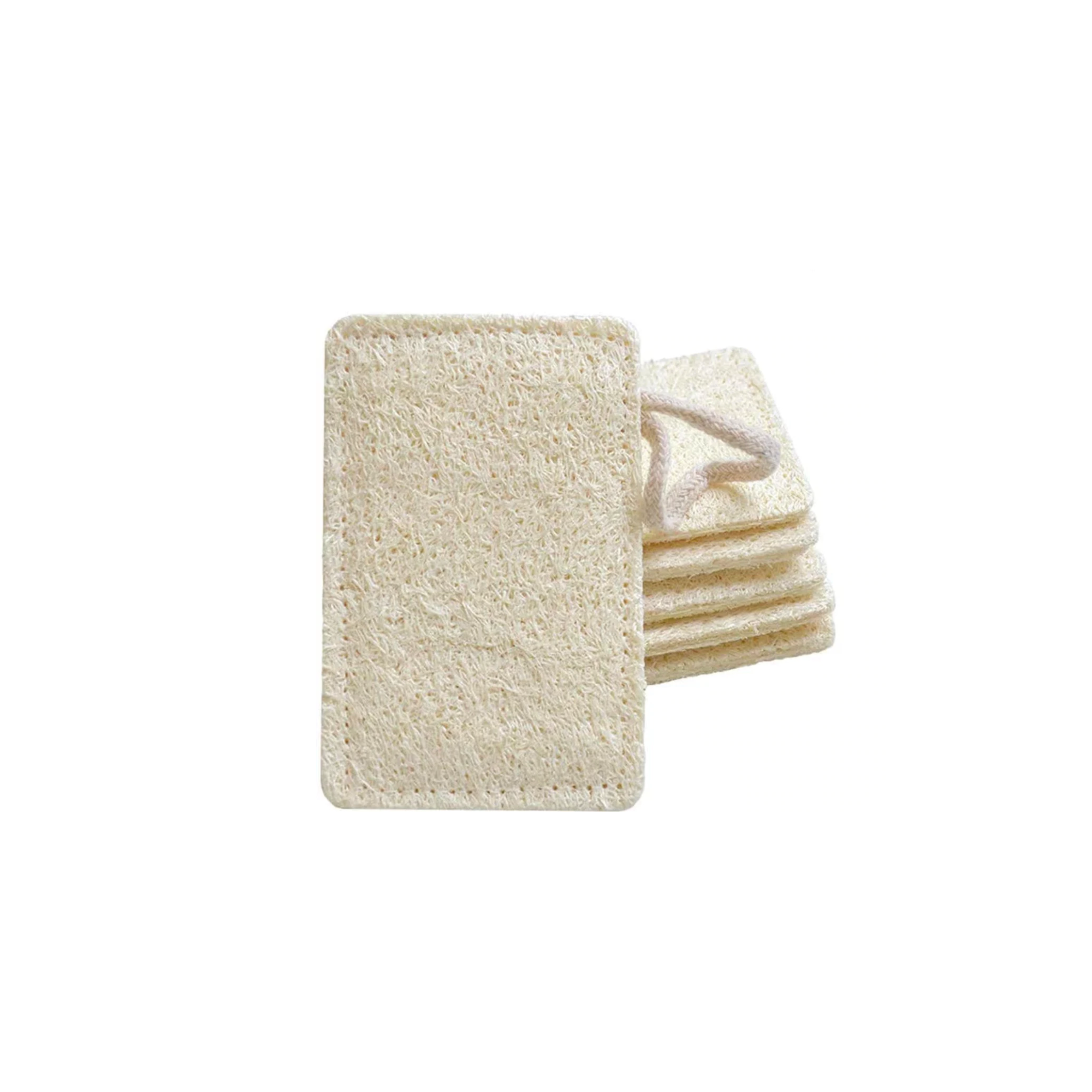 Kitchen Sponge / Loofah (3 Pack)