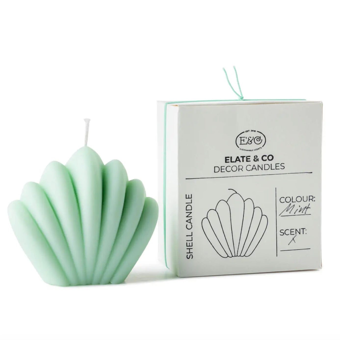 Decorative Shell Candle