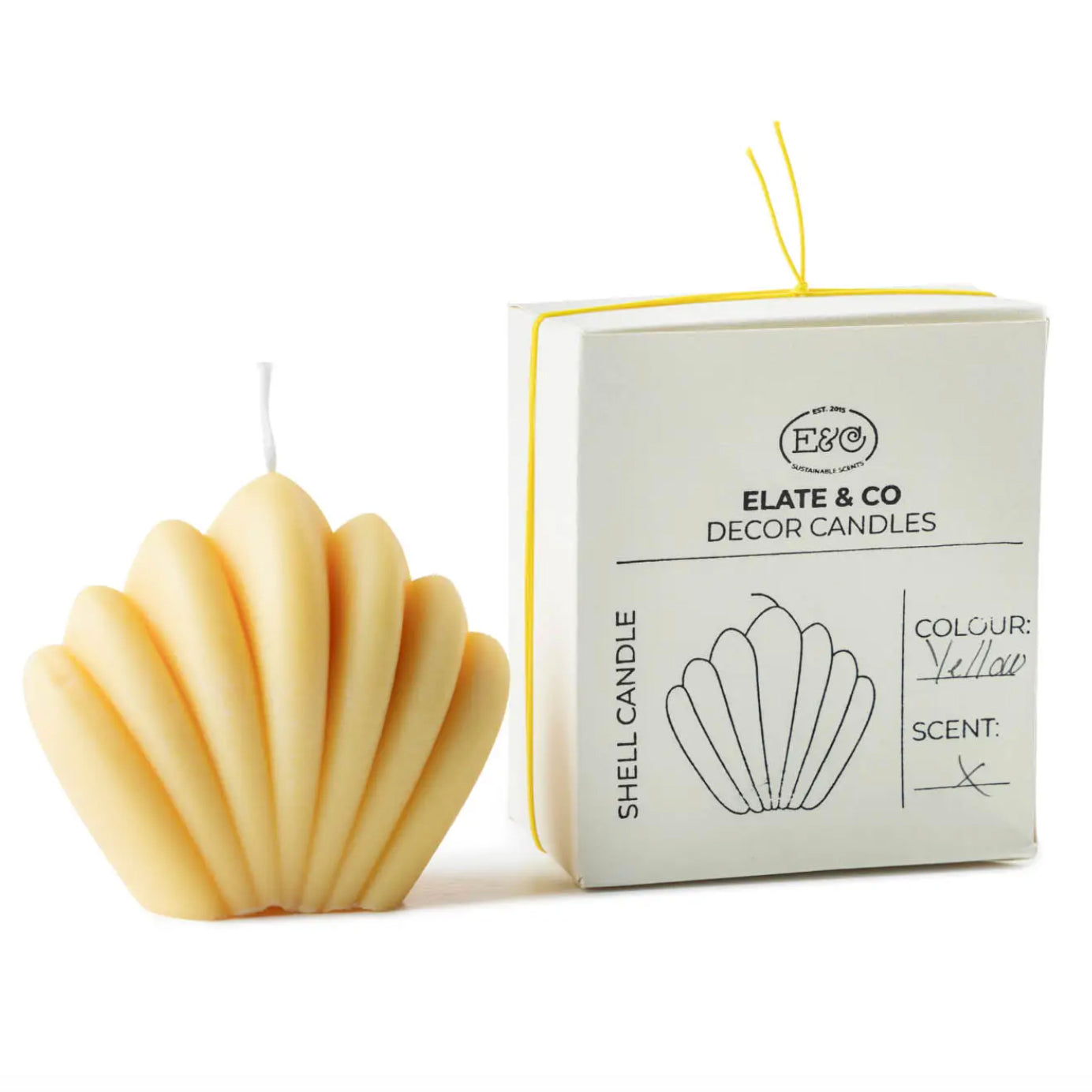 Decorative Shell Candle