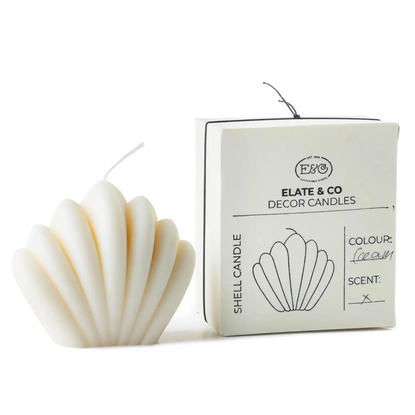 Decorative Shell Candle