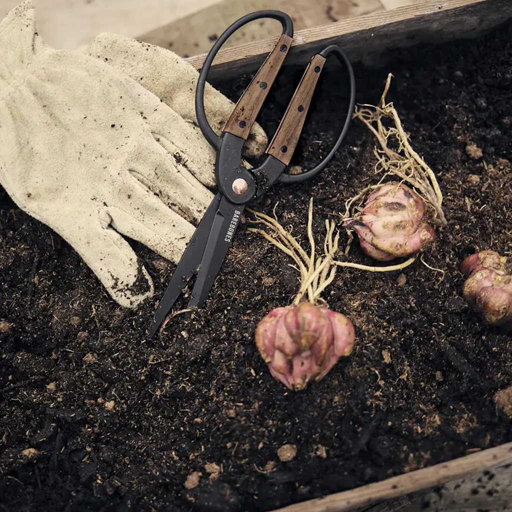 Garden Scissors