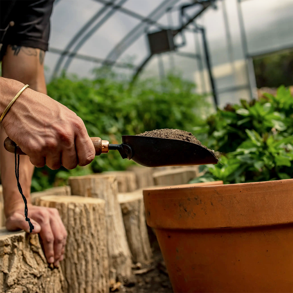 Garden Scoop